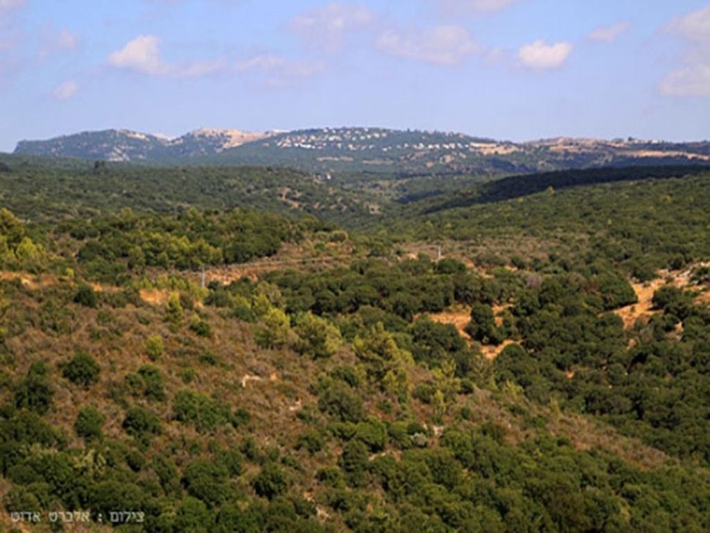 Between Sunrise And Sunset Suites Ya'ara Экстерьер фото